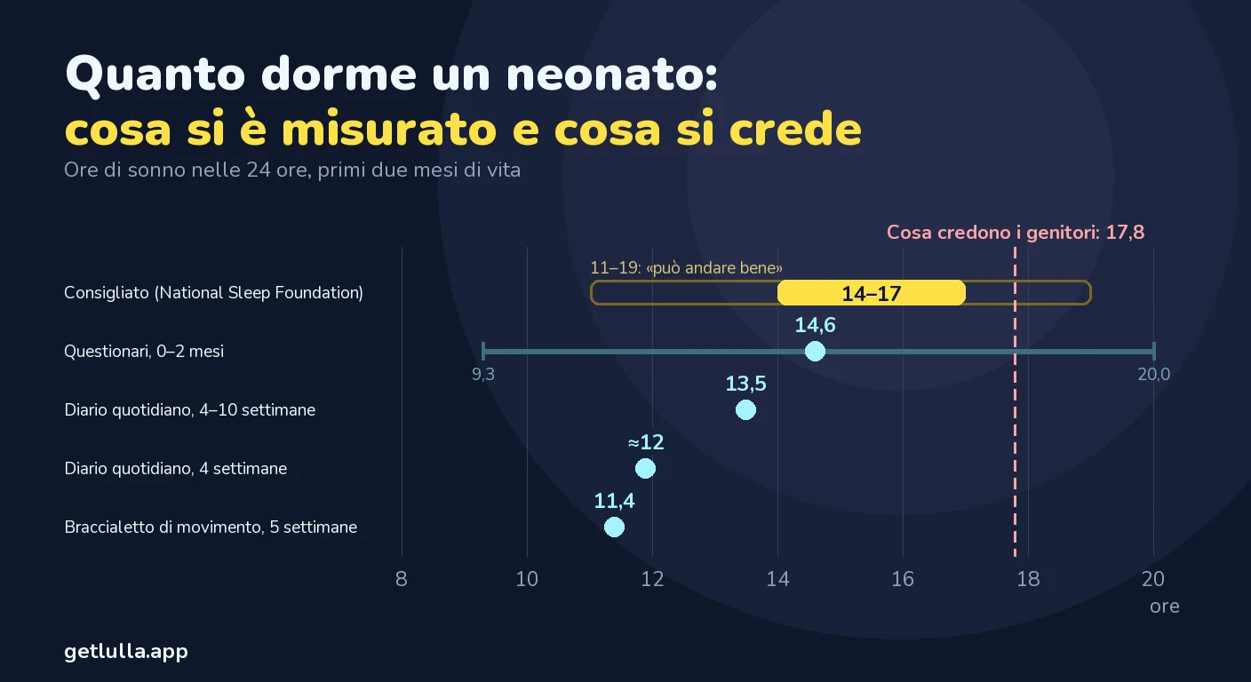Quanto dorme un neonato: cosa è normale per età e quando dorme troppo